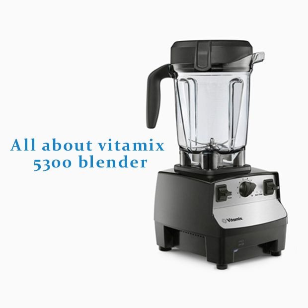 All about vitamix 5300 blender