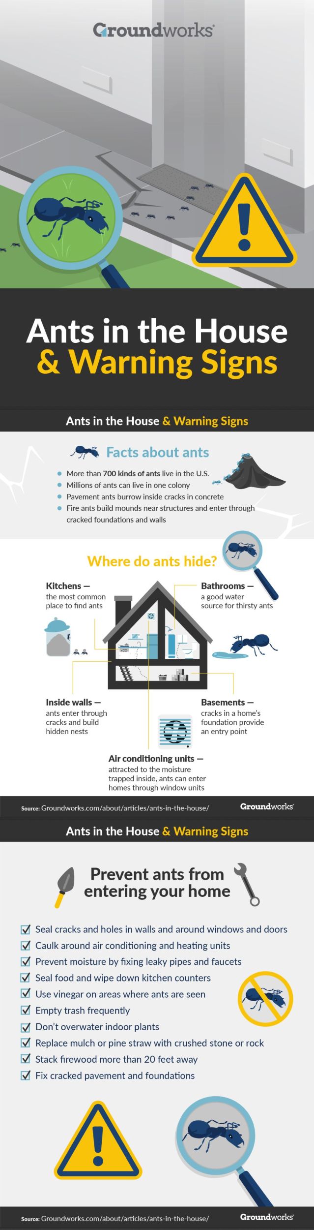 Ants in the House & Warning Signs