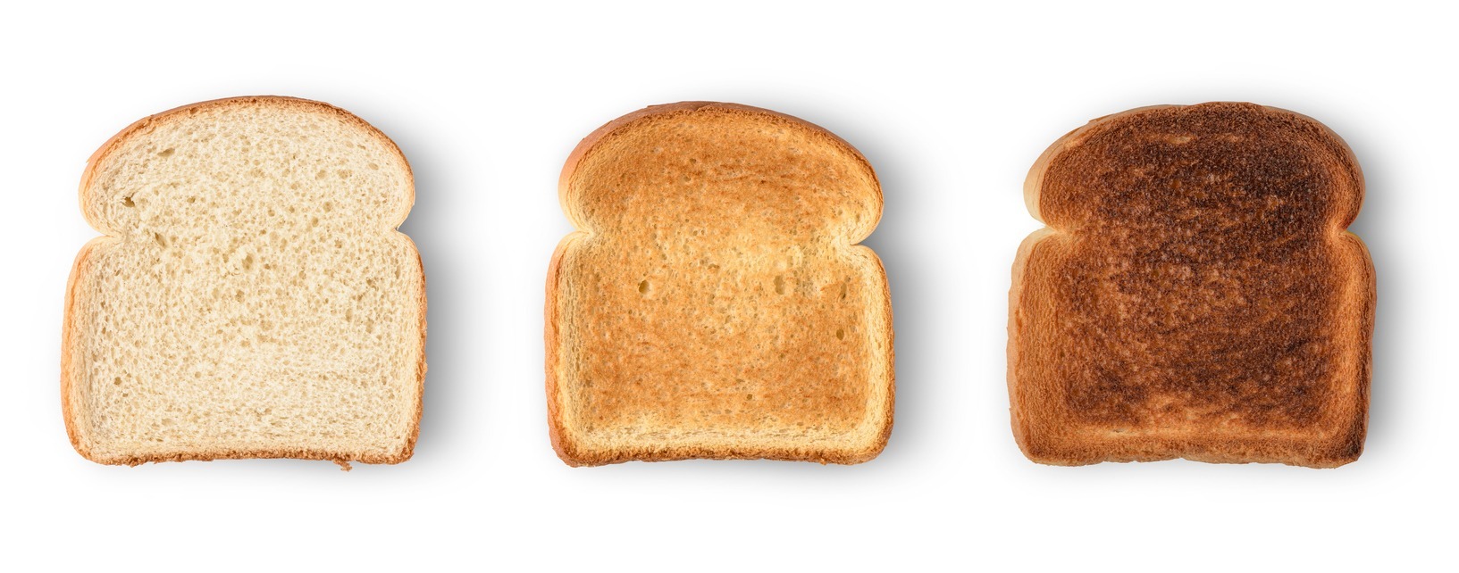 Different types of toasted bread